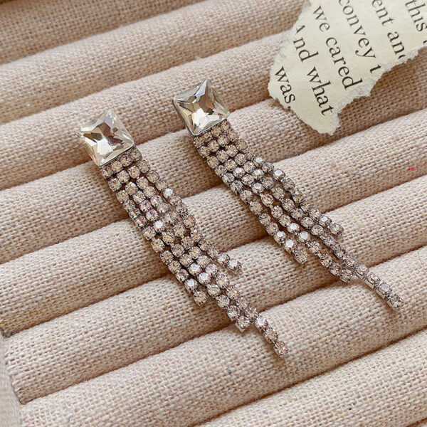 Sterling Silver Needle Sparkling Long Fringed Zircon Earrings - Image 7