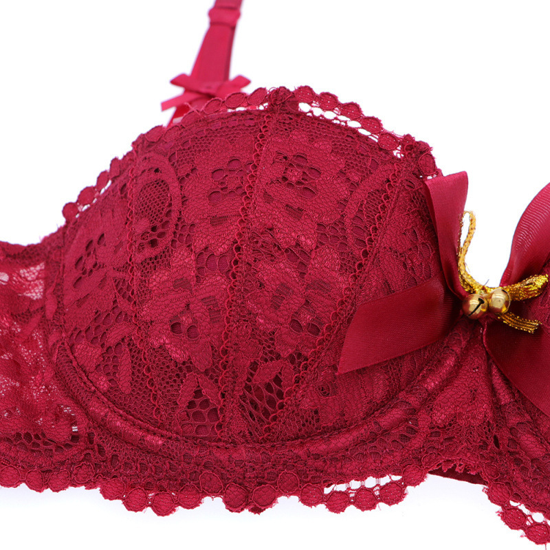Luxury Lace Bra & Lingerie Set – Valentine’s Day & Christmas Special - Image 6