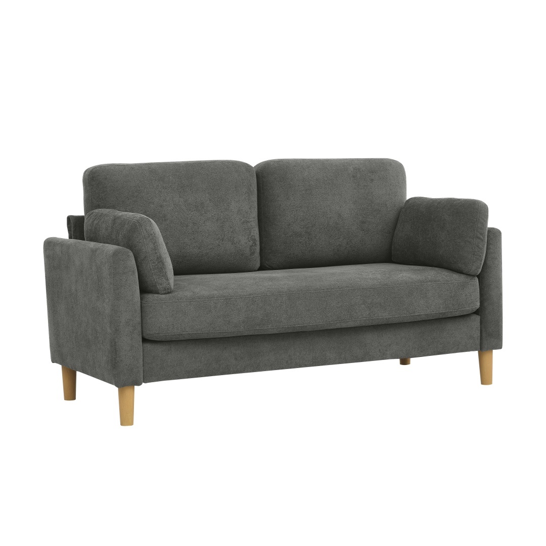 Modern Minimalist 2-Seater Sofa - Image 5
